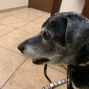 Meet your Posher, Mari